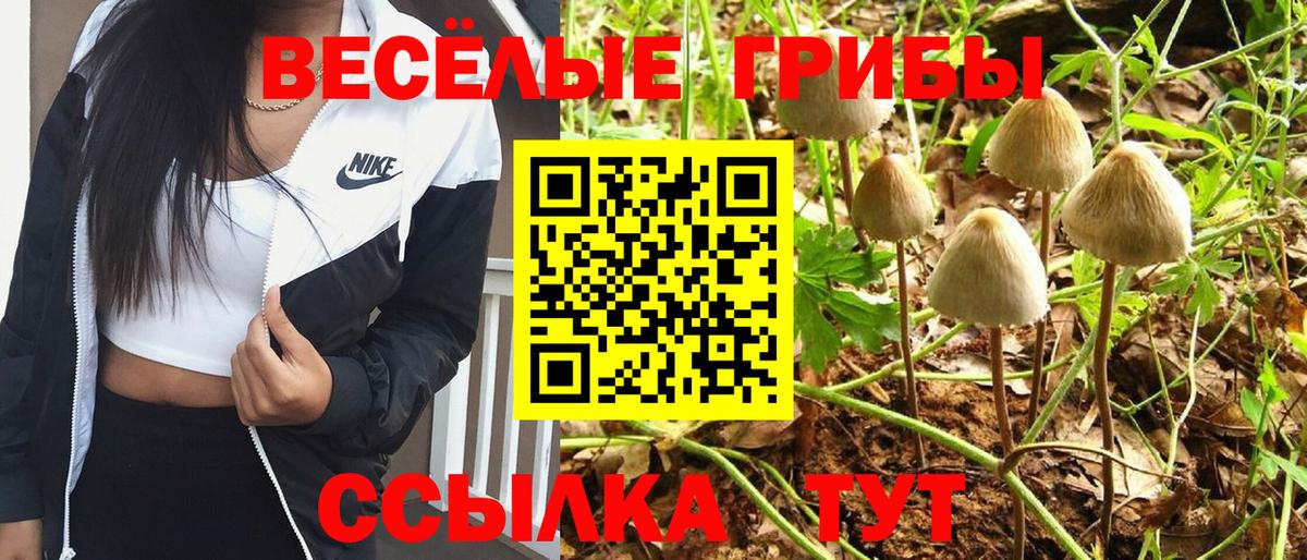 Псилоцибиновые грибы прущие грибы Карачаевск