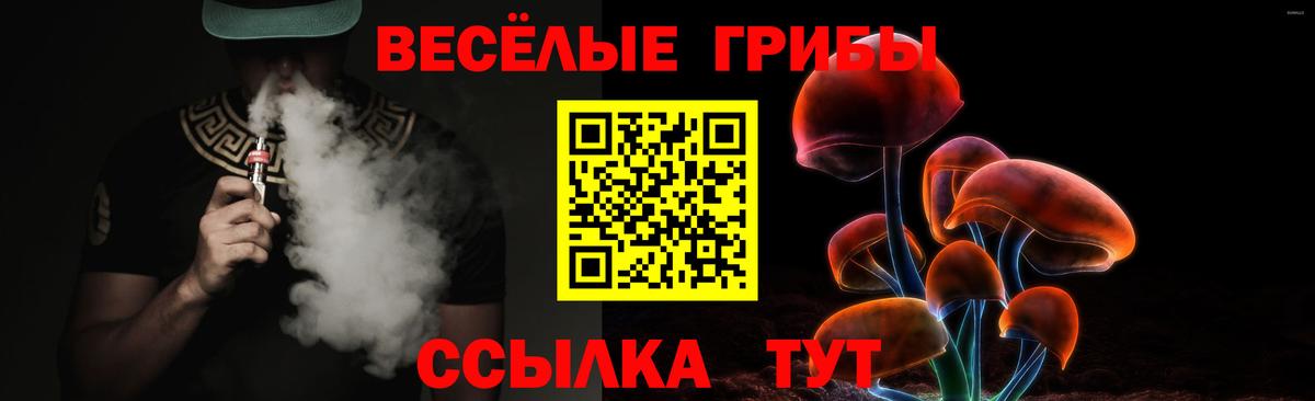 как найти наркотики  Вход с VPN  Карачаевск  Галлюциногенные грибы MAGIC MUSHROOMS 
