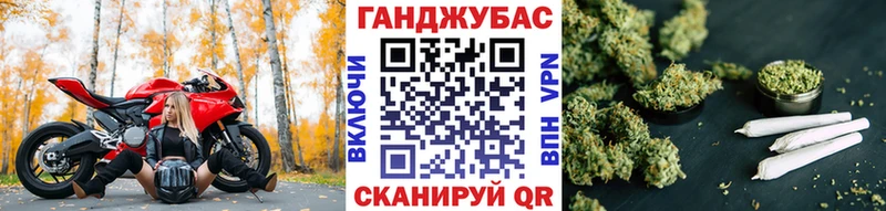 Бошки марихуана планчик  наркотики  гидра   Карачаевск 