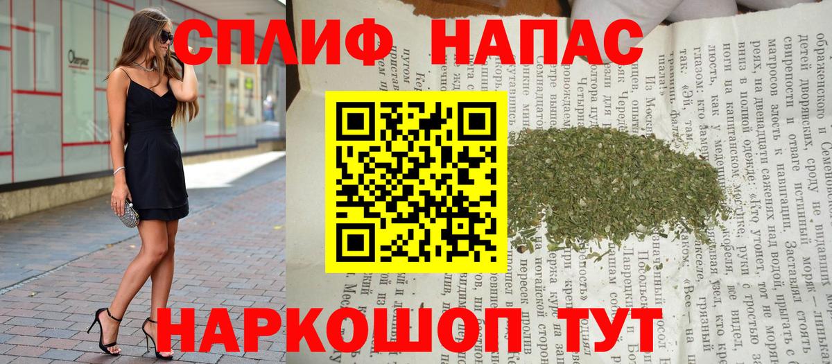  COCAIN Карачаевск